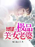 我的极品美女老婆全文阅读小说