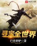 寻宝全世界纵横小说