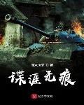 谍无痕 谍战小说