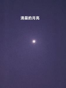 小说作者新书