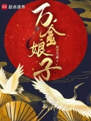 万金娘子小说阅读免费无弹窗