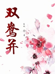 双镜全文免费阅读